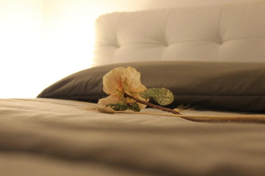 Domus Aurea Resort Ragusa Cameră foto